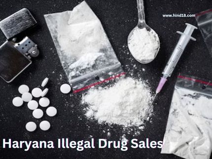 Haryana Illegal Drug Sales